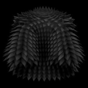 Black Spikey Coat